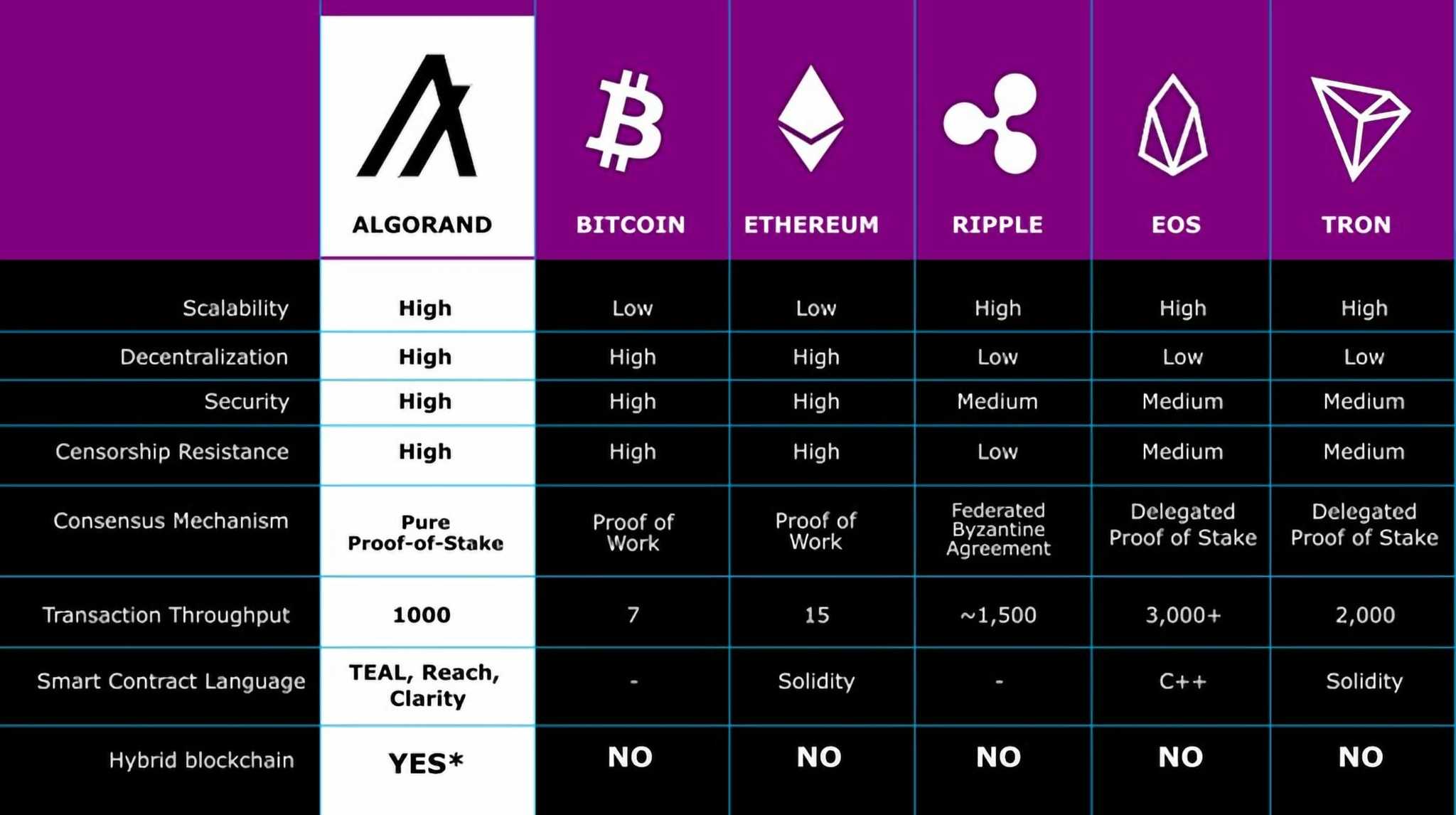 algorand versus other networks