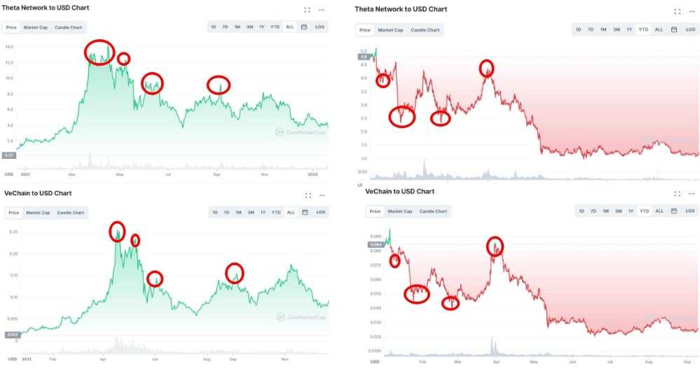 Theta vs vechain