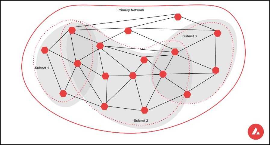 Avalanche Ethereum Killer.jpg