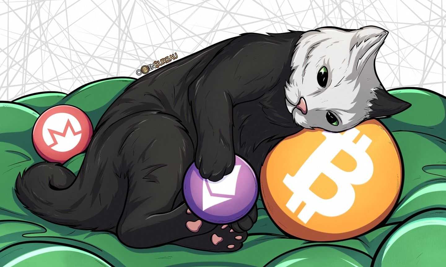 Bisq Review 2024: The MOST Decentralized Exchange?