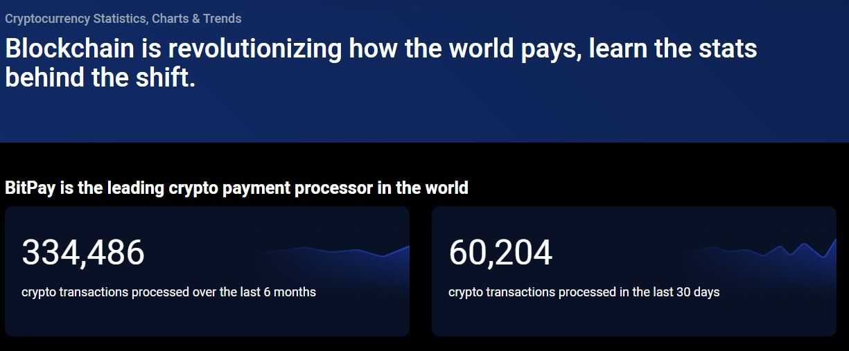 Bitpay stats.jpg