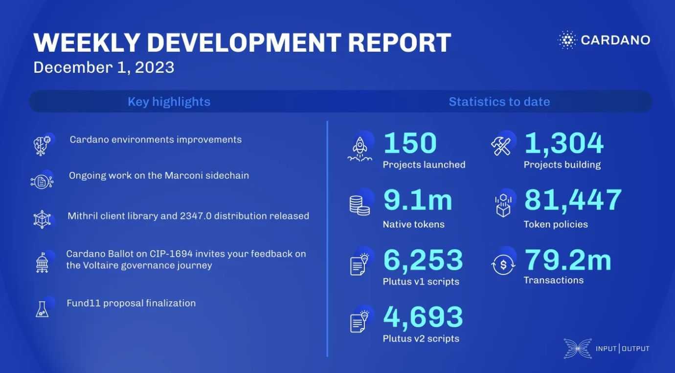 Cardano developer report.jpg