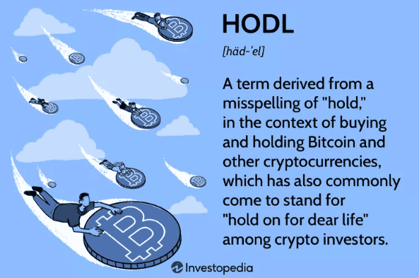 hodl polygon