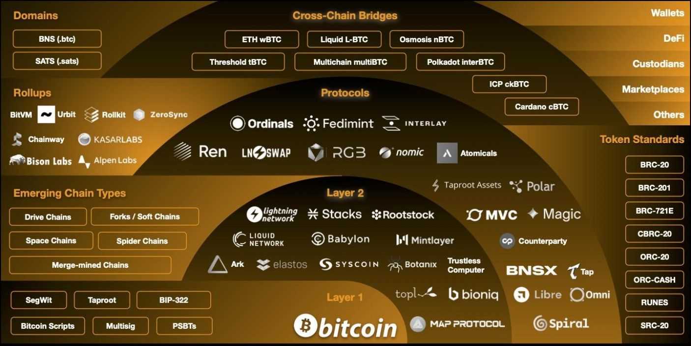 The Bitcoin Ecosystem.jpg