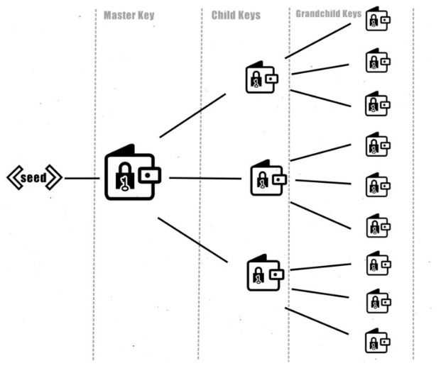 how hd wallets work.jpg