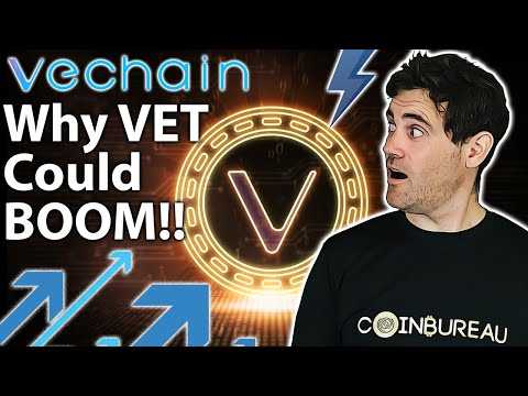 Why VeChain has INSANE Potential!! VET 